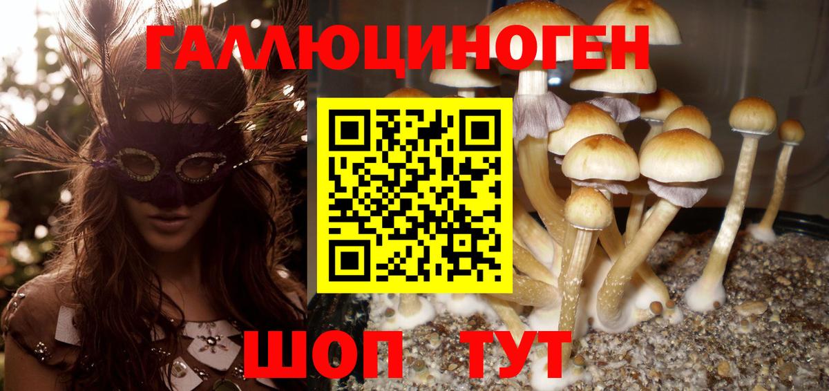 купить наркотик  Вход с VPN  Галлюциногенные грибы Cubensis  Тулун  Псилоцибиновые грибы мухоморы 
