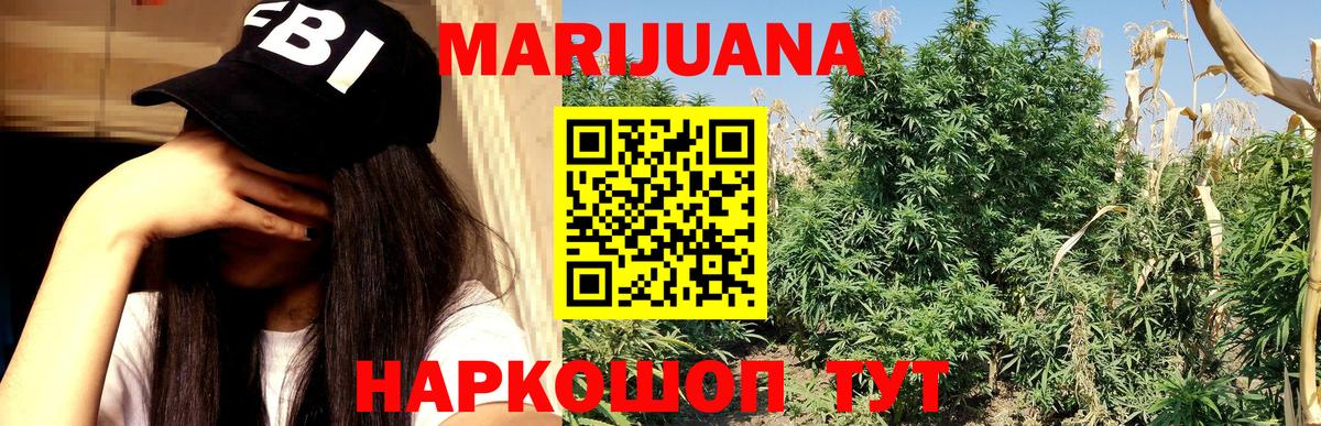 Тулун  Каннабис Ganja  Канабис план  Вход с VPN  Шишки марихуана планчик 